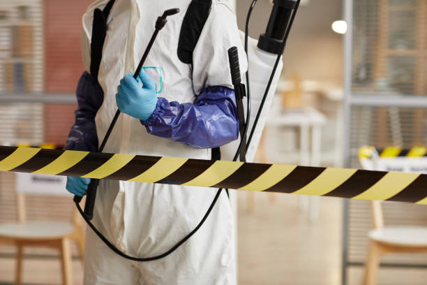 Professional Sewage Cleanup technician working in Marshall, IL